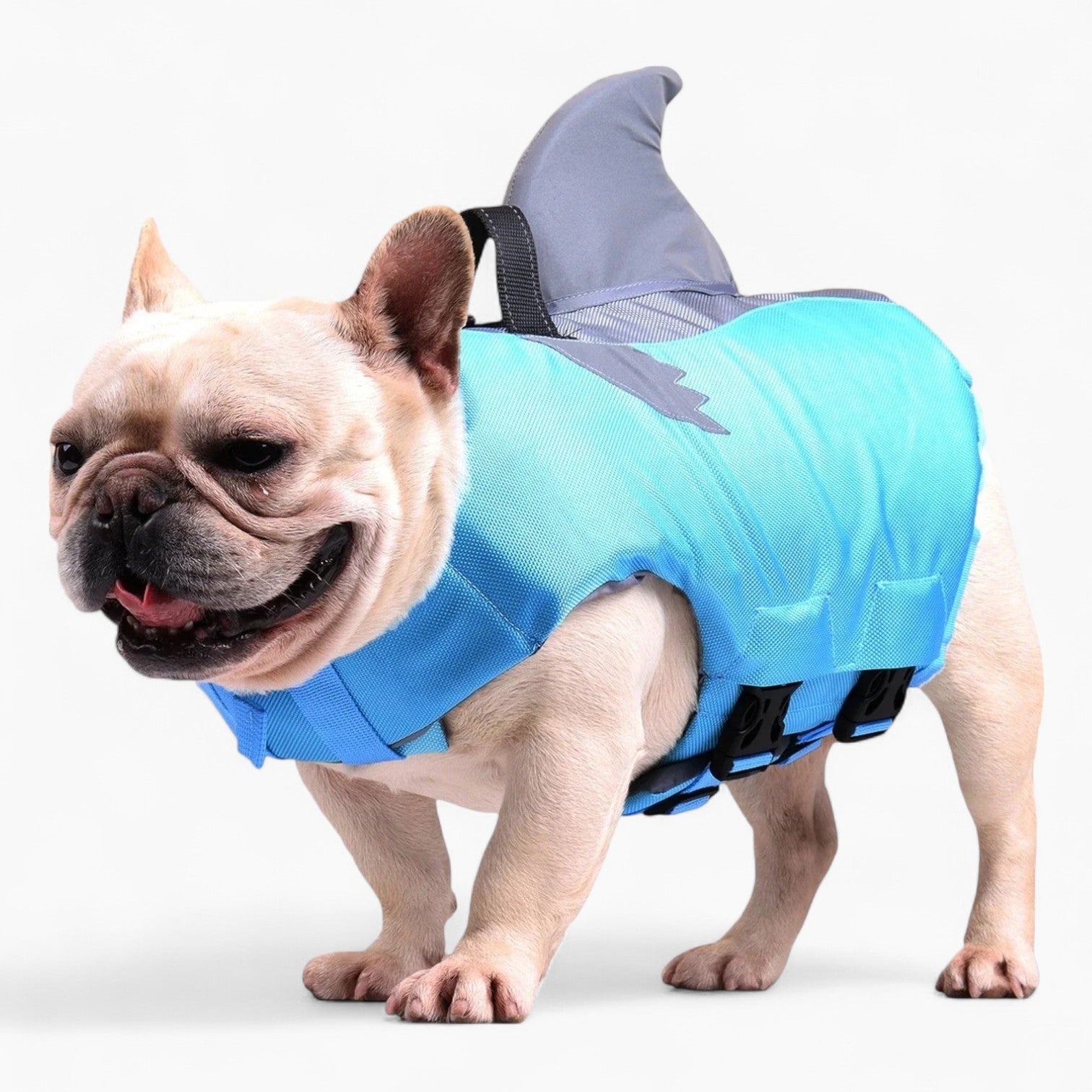 Frenchie-Fan Frenchie Shark Life Vest Summer Reflective Swimwear for ...