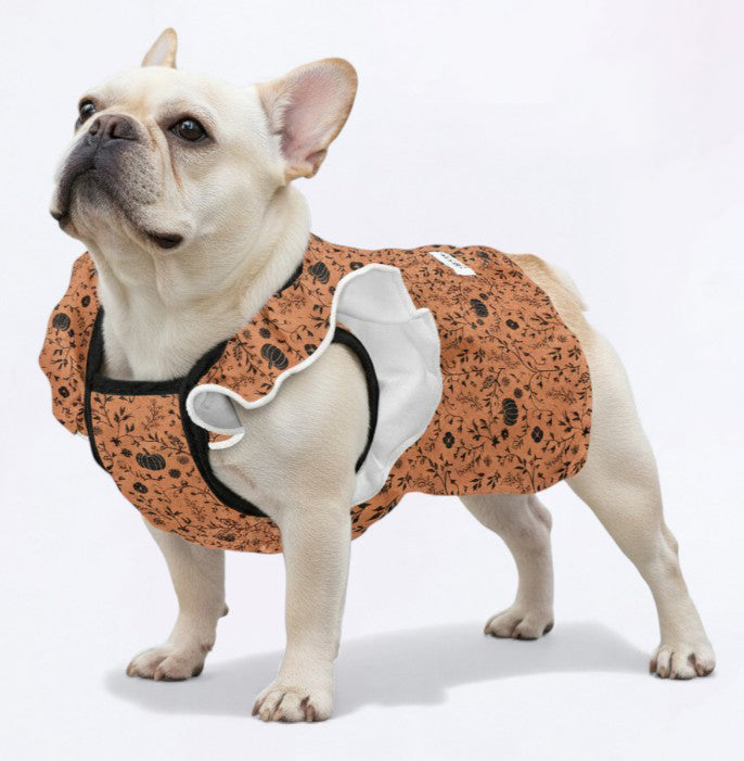 Trendy Halloween - French Bulldog Dresses For Females for Street Style