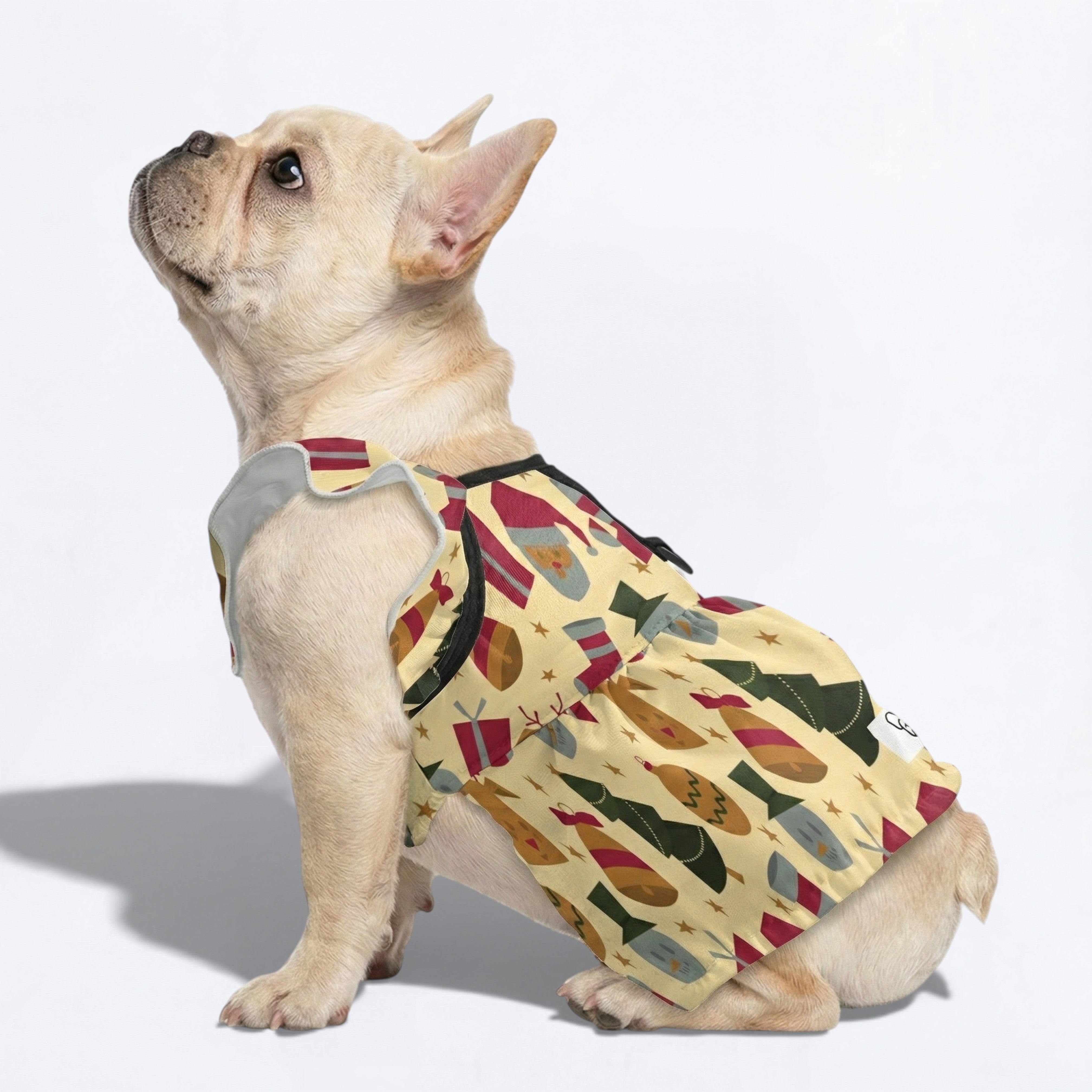 - French Bulldog French Bulldog Dresses For Females Paw Protection