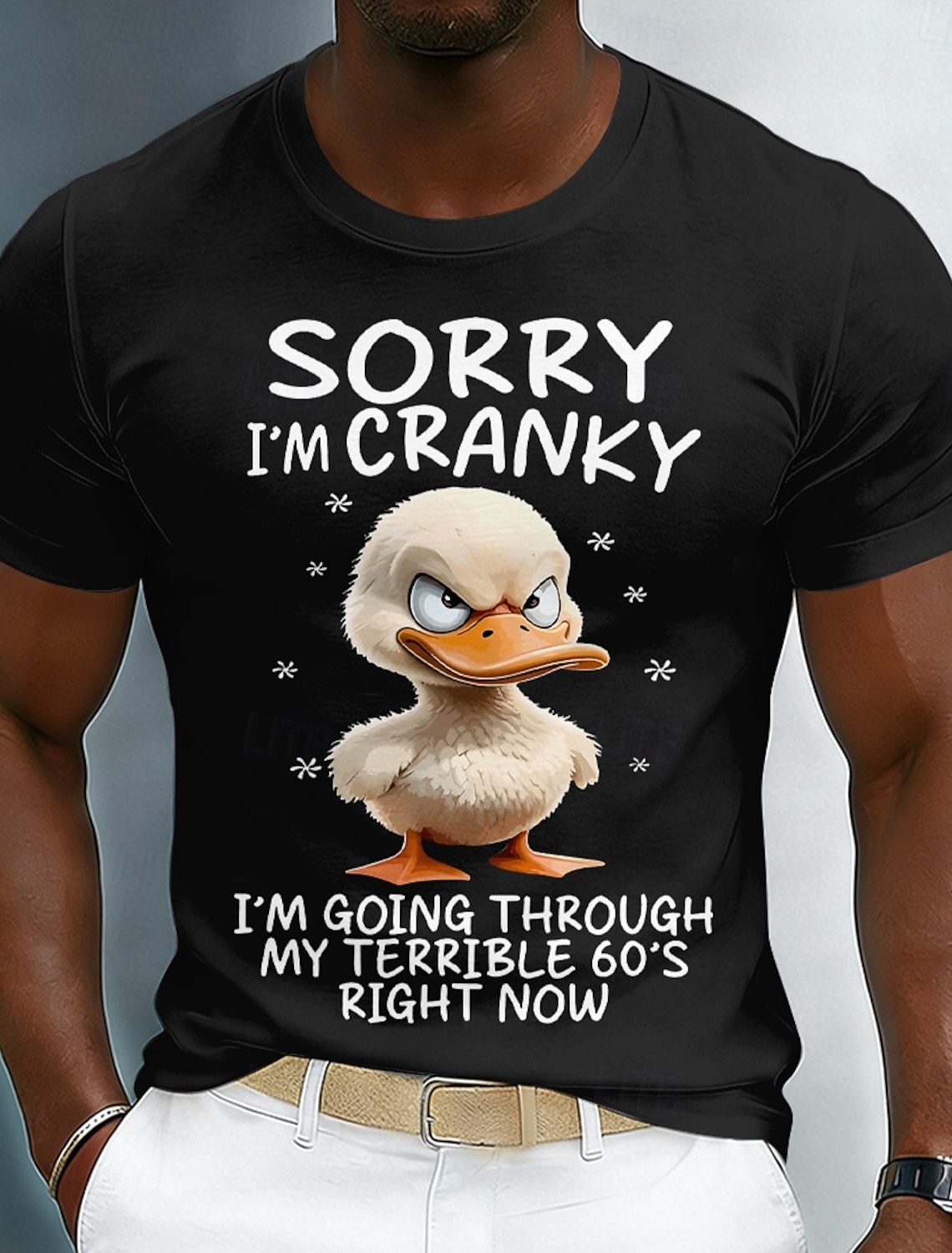 Sorry I'm Cranky I'm Going Through My Terrible 60's Funny Angry Duck Men's 60th Birthday Gift Sarcastic Grumpy Old Man Graphic T Shirt Crew Neck Short Sleeve Streetwear Designer Clothing Apparel