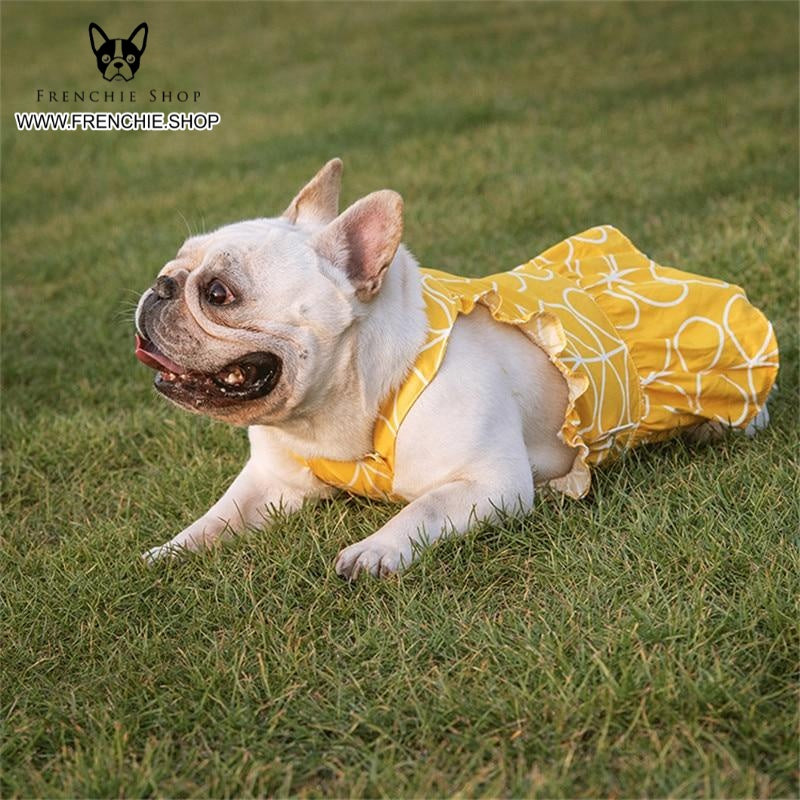 - Comfortable Skirt French Bulldog Summer Dress (w315) For Frenchie Pups
