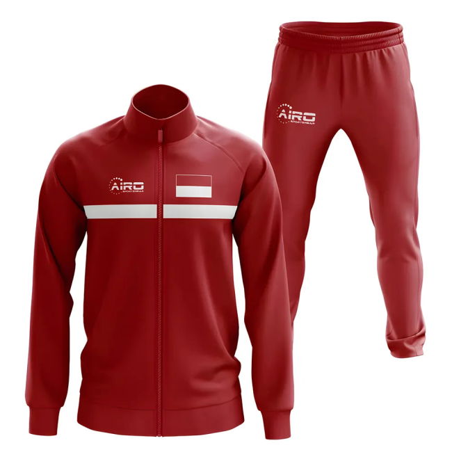 Player Issue Style Indonesia Concept Professional Jersey 2025-2026