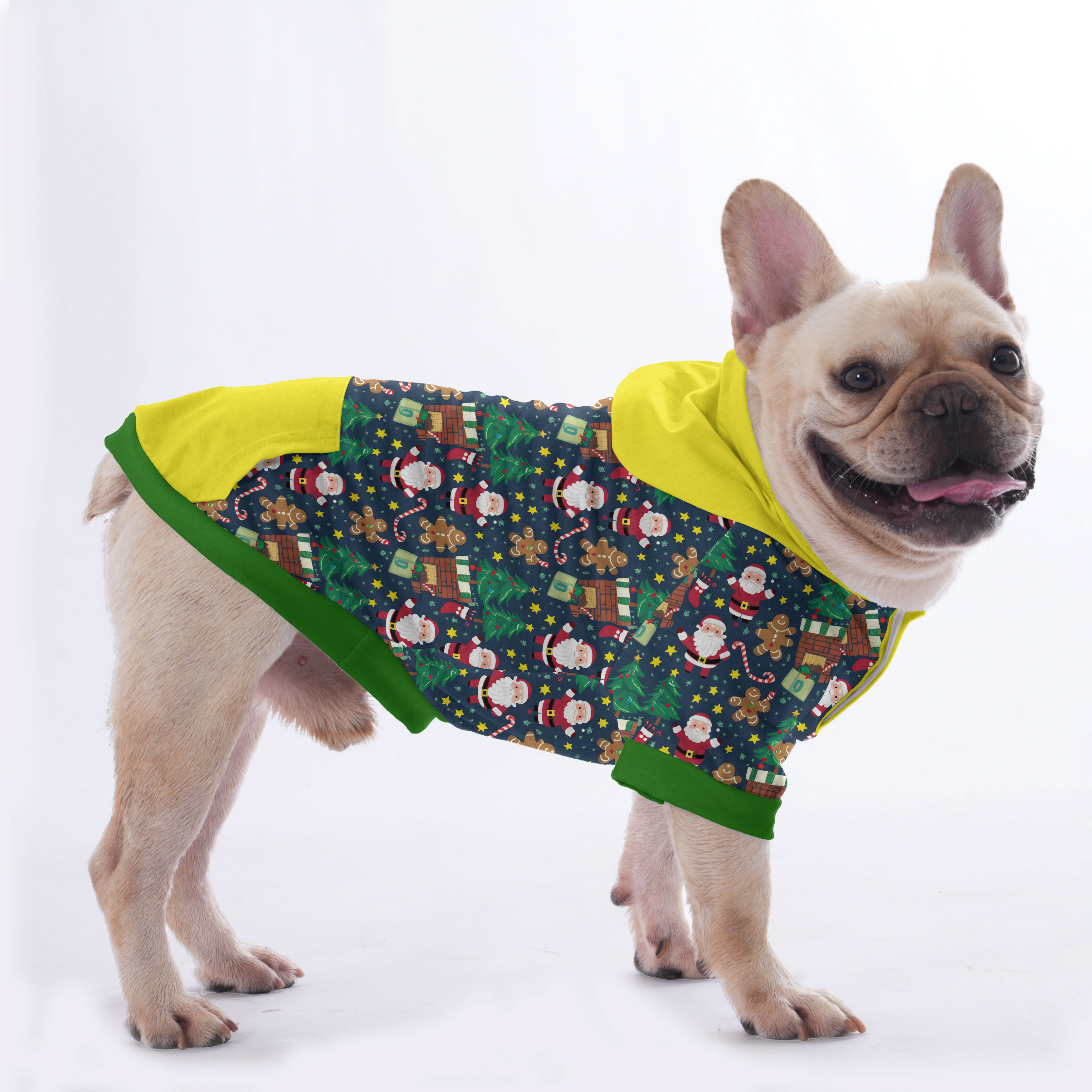 Paquito - Comfy Hoodies For French Bulldog | Frenchie Shop Original Outdoor Style