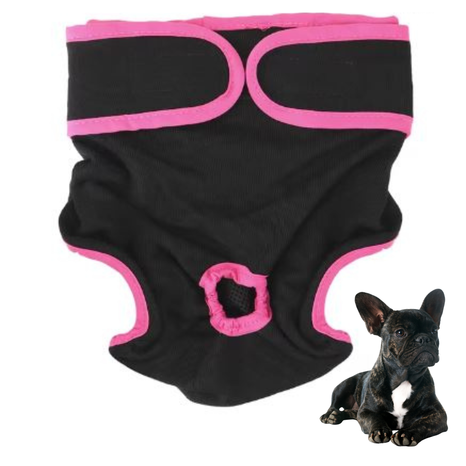 - French Bulldog French Bulldog Shorts Diaper Winter Wear | Comfort Fit