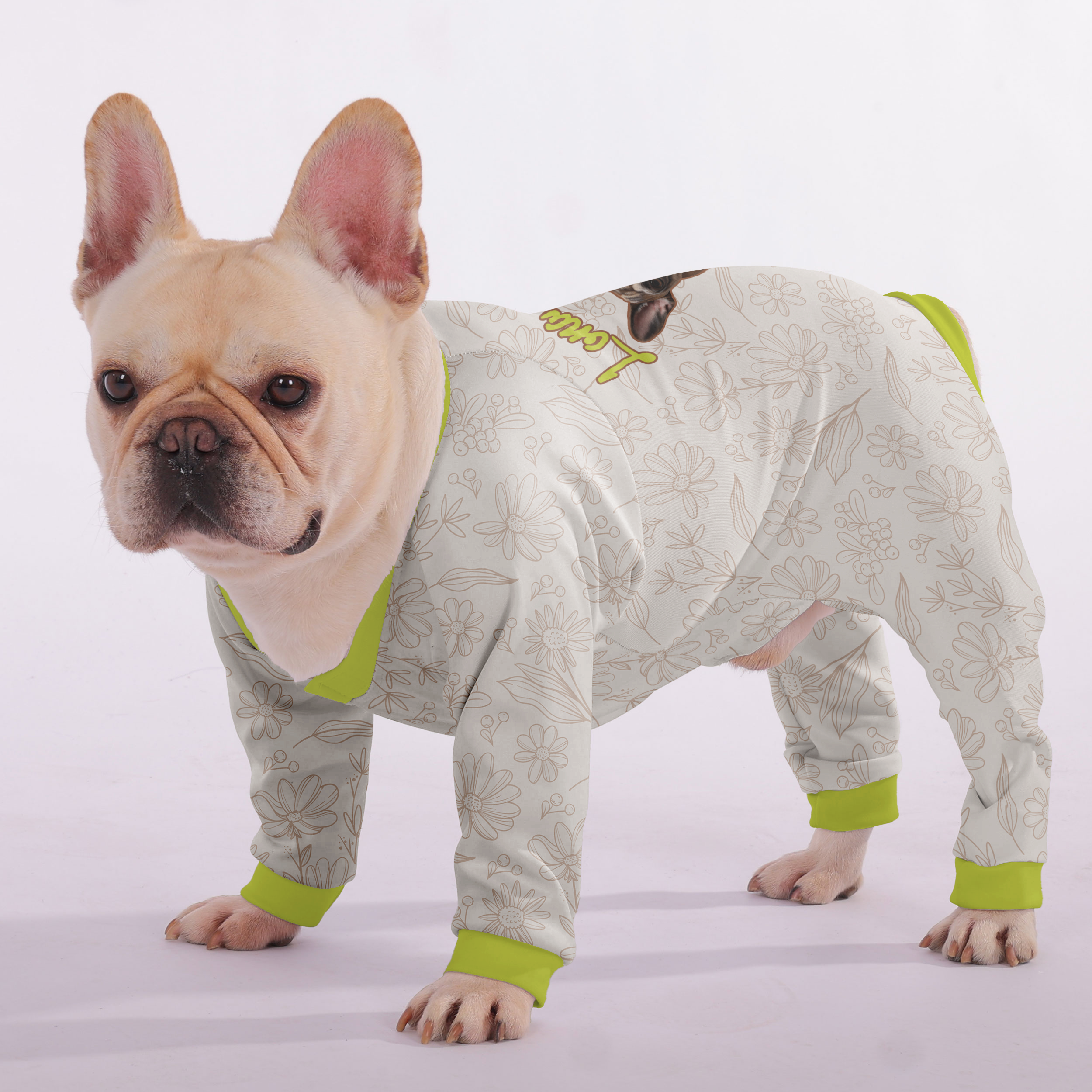 French Bulldog Lilo Personalized French Bulldog Pajamas With Your