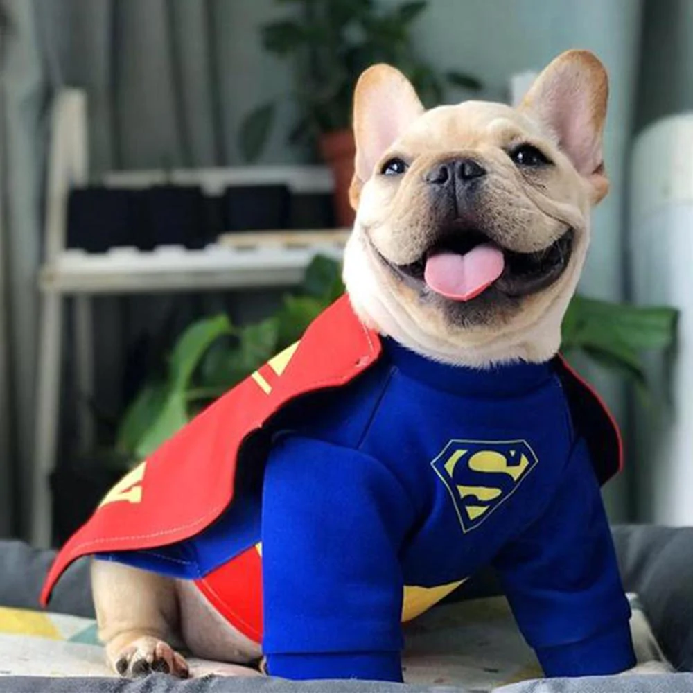 French Bulldog SuperFrenchie Cosplay Clothes