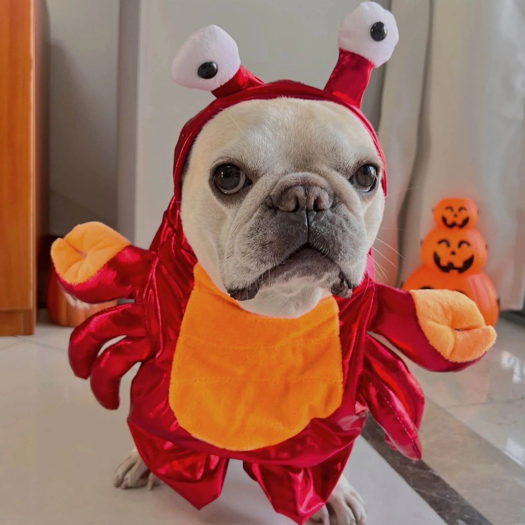 French Bulldog Crustapup Frenchie Red Crab Costume – Warm Cotton Funny