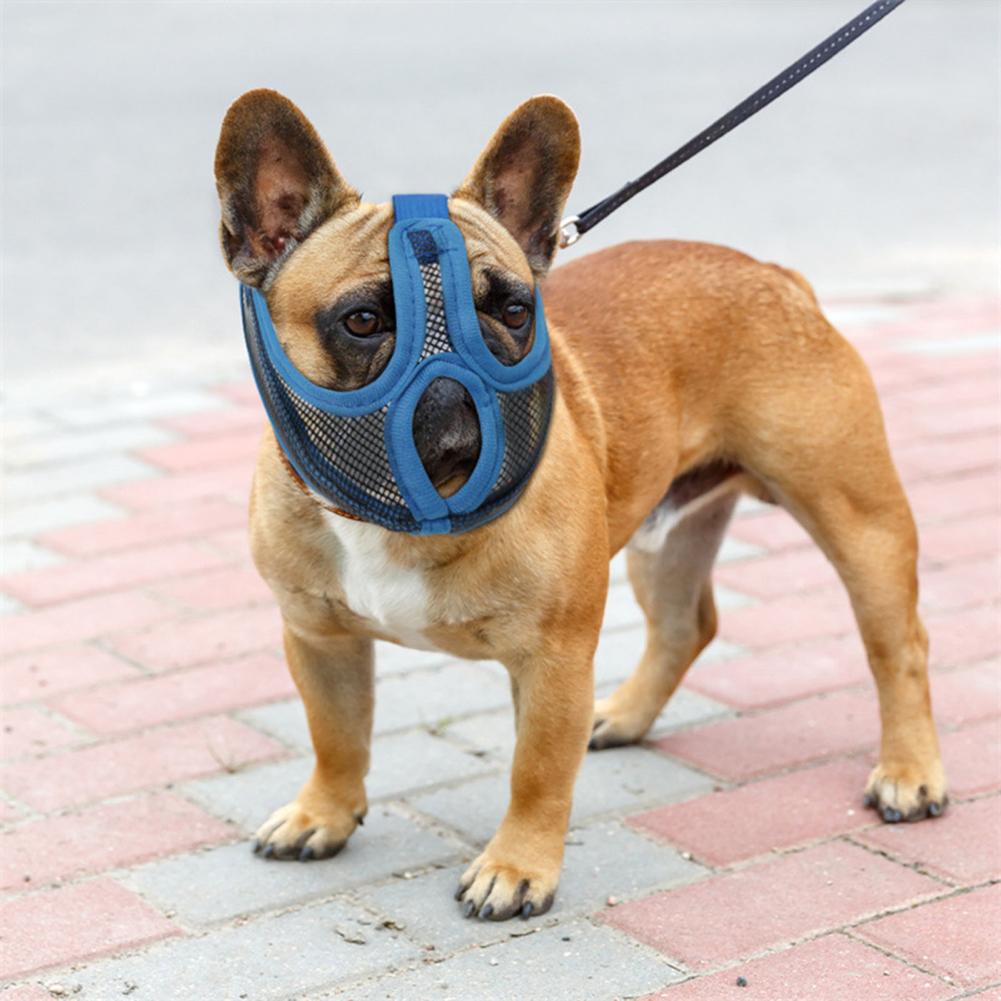 - Safe Effective Anti-bite Mouthpiece For Frenchie Pups | Comfort Fit