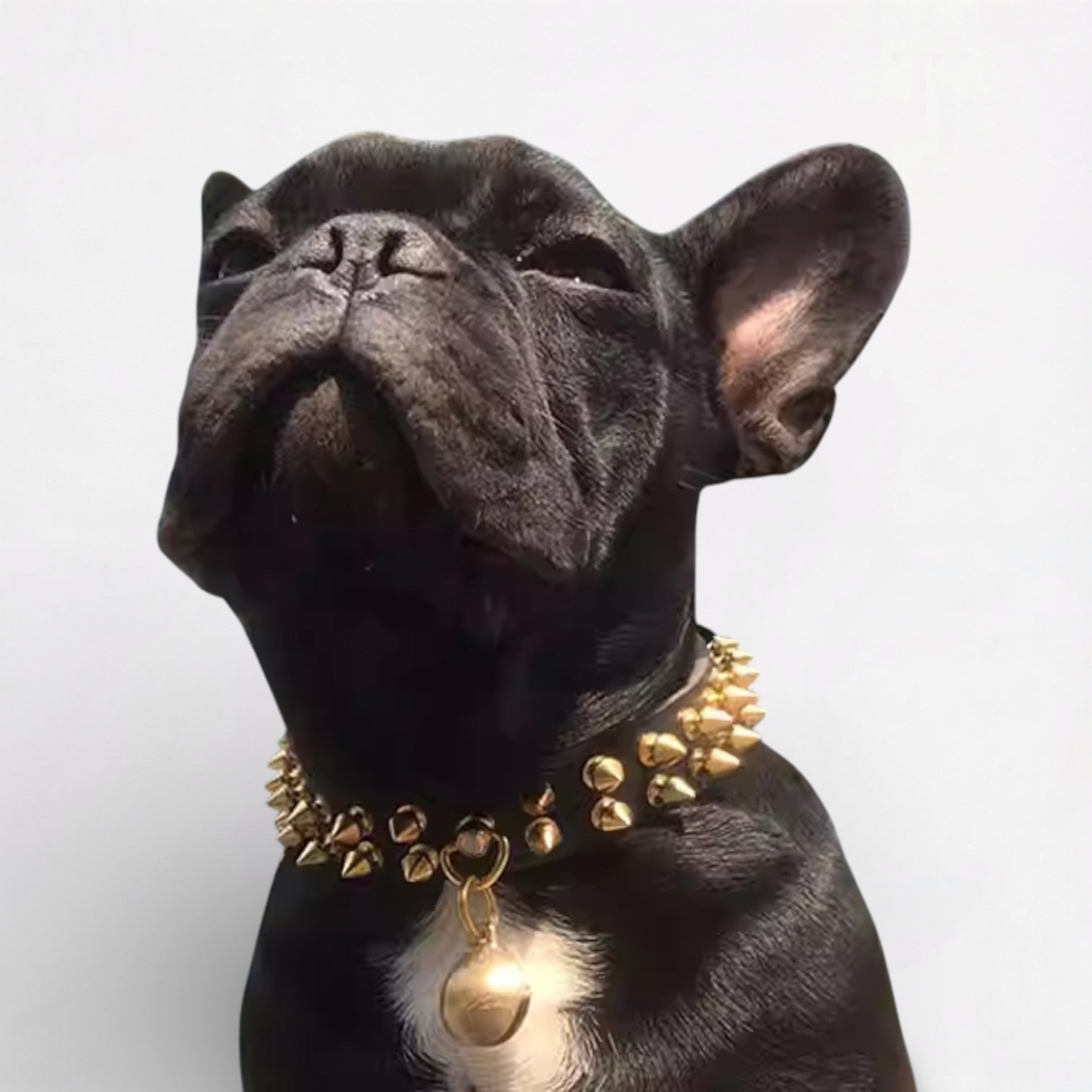 SpikeForge French Bulldog Riveted Collar – Anti-Bite Studded Leather Dog Necklace