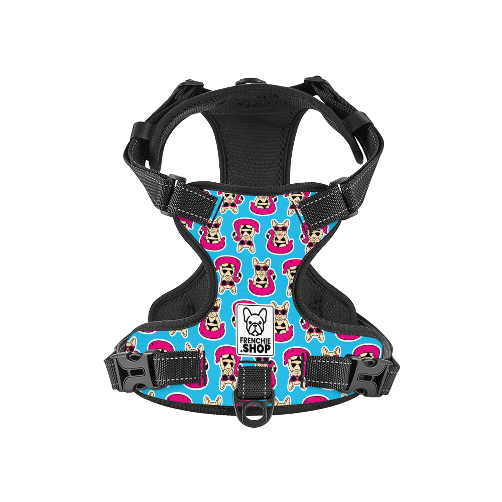 French Bulldog Papillon No Pull French Bulldog Dog Harness Practical Dog Gear