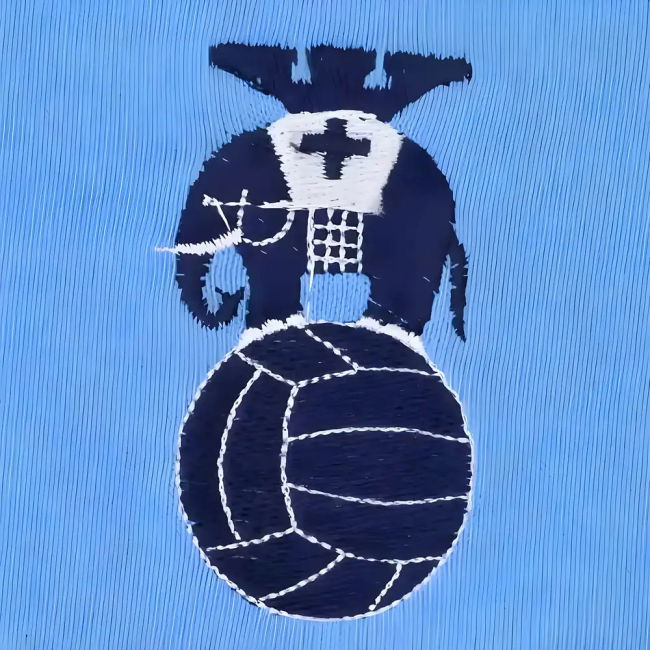 Coventry City 1970s Home Retro Football Kit