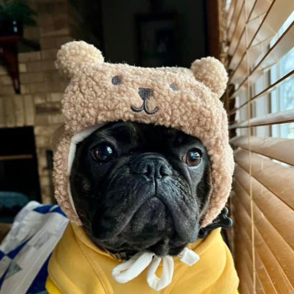 Pet-Lover Wool Wonders Frenchie Adorable Winter Hat With Earflaps & C...