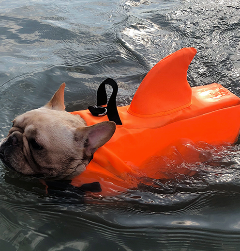 Shark - Warm Life Vest V2 (cs02) Summer Wear | Comfort Fit