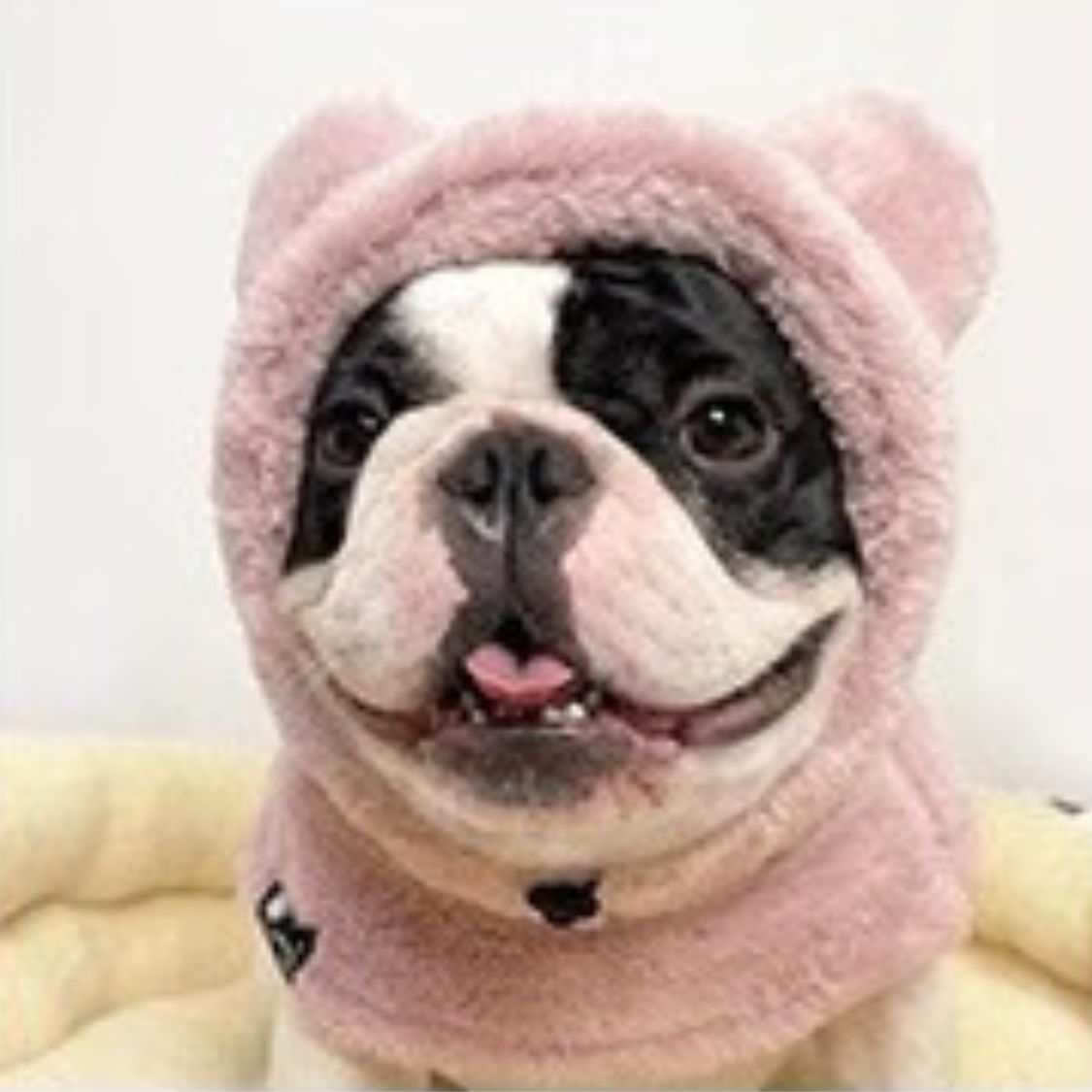 Warmie Frenchie Winter Plush Hat - Cozy & Stylish for French Bulldogs