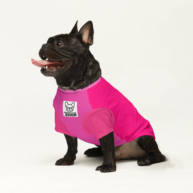 Sonny - Dog Owner Wool Sweater For Frenchies For Dog Lovers