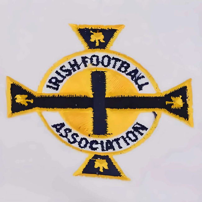 Rare Ireland Home Unique Shirt 2025-2026