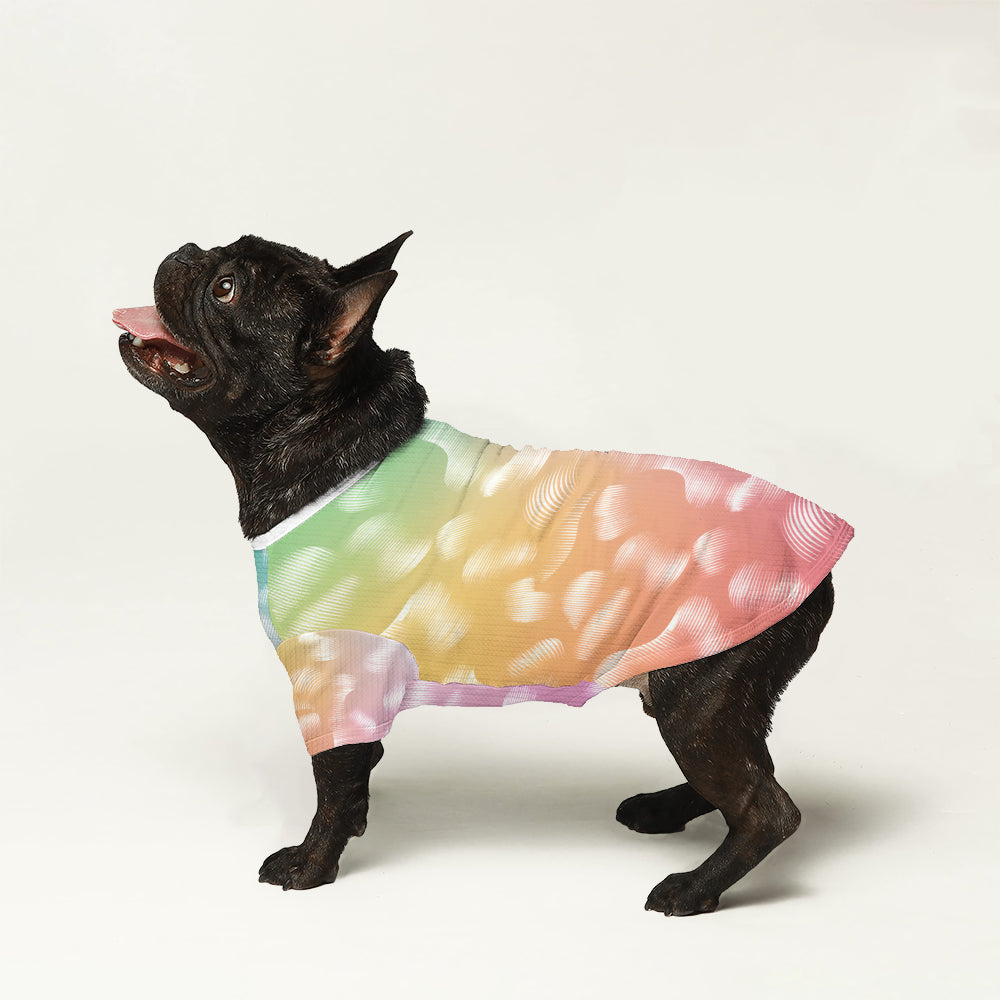Elsie - Everyday Wool Sweater For Frenchies For Dog Lovers | Comfy Fit