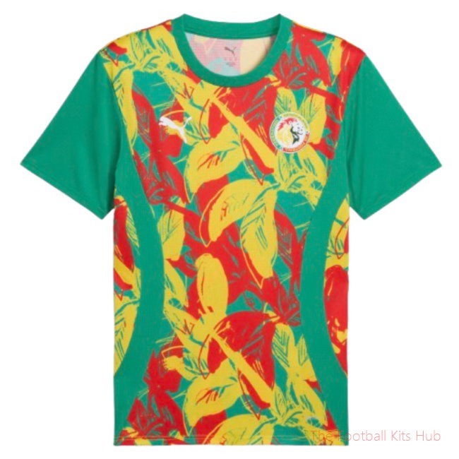 2024-2025 Senegal Prematch SS Jersey (Green)