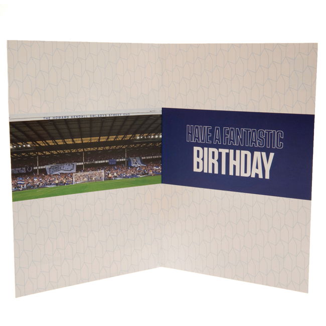 High Quality Everton 2025-2026 Home Strip (1)