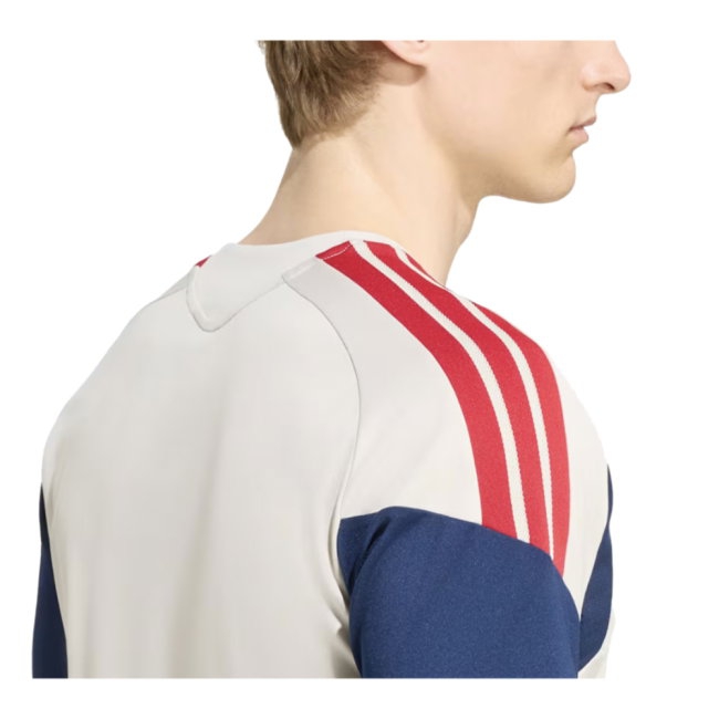 [LLS] 2026-2027 Bayern Munich Training Jersey (Alumina) (Saibari 34)