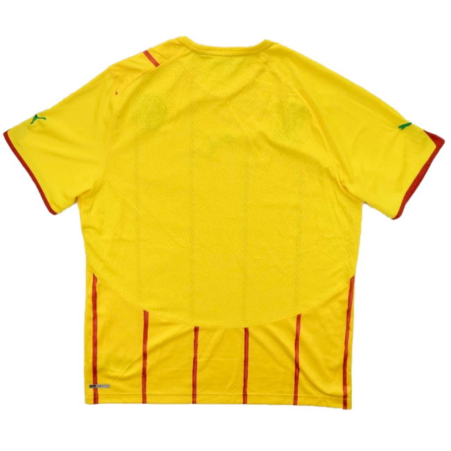 Cameroon Limited Edition Away Jersey 2010-2011