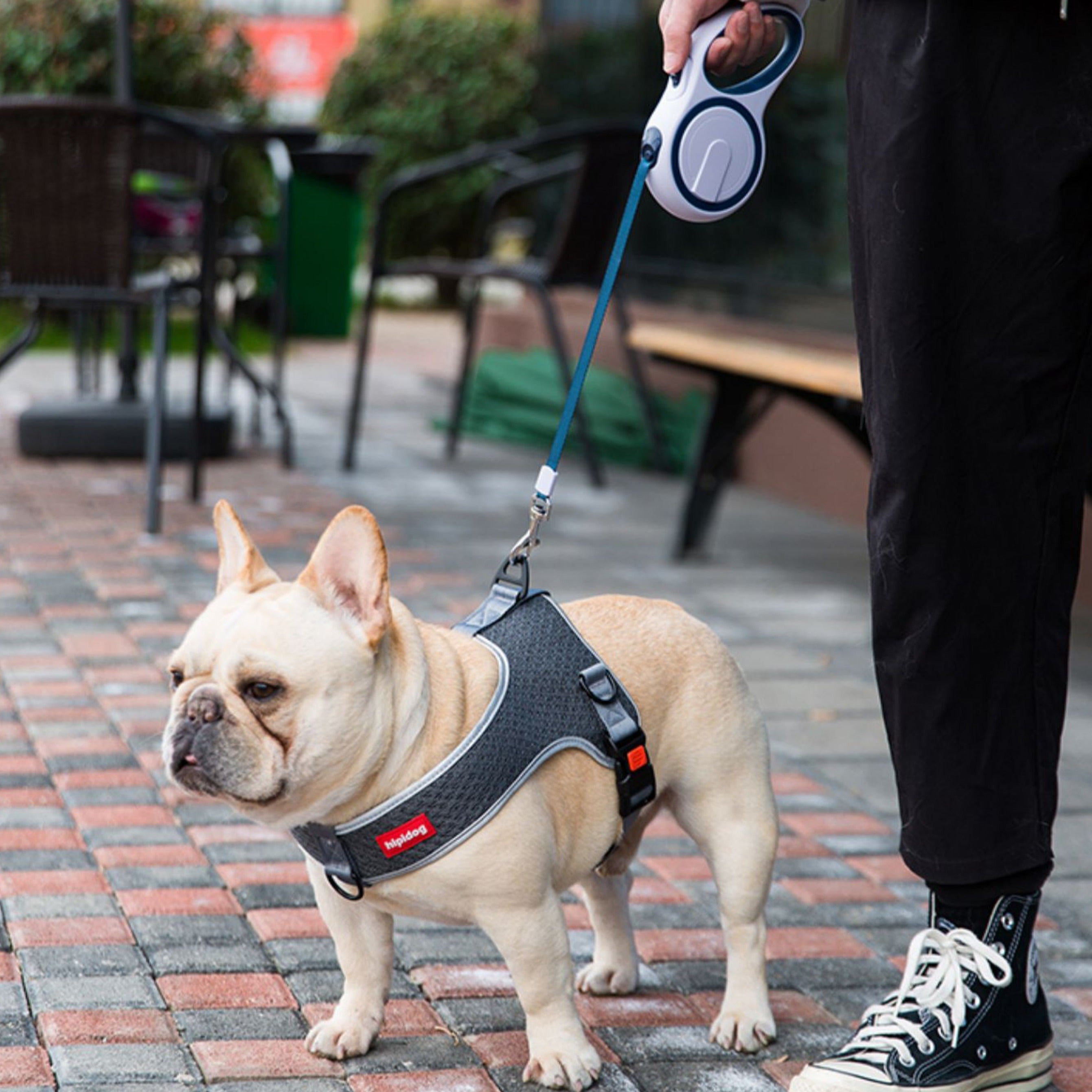 PawsMotion Premium French Bulldog Harness Vest with Leash Ultimate Walking Companion