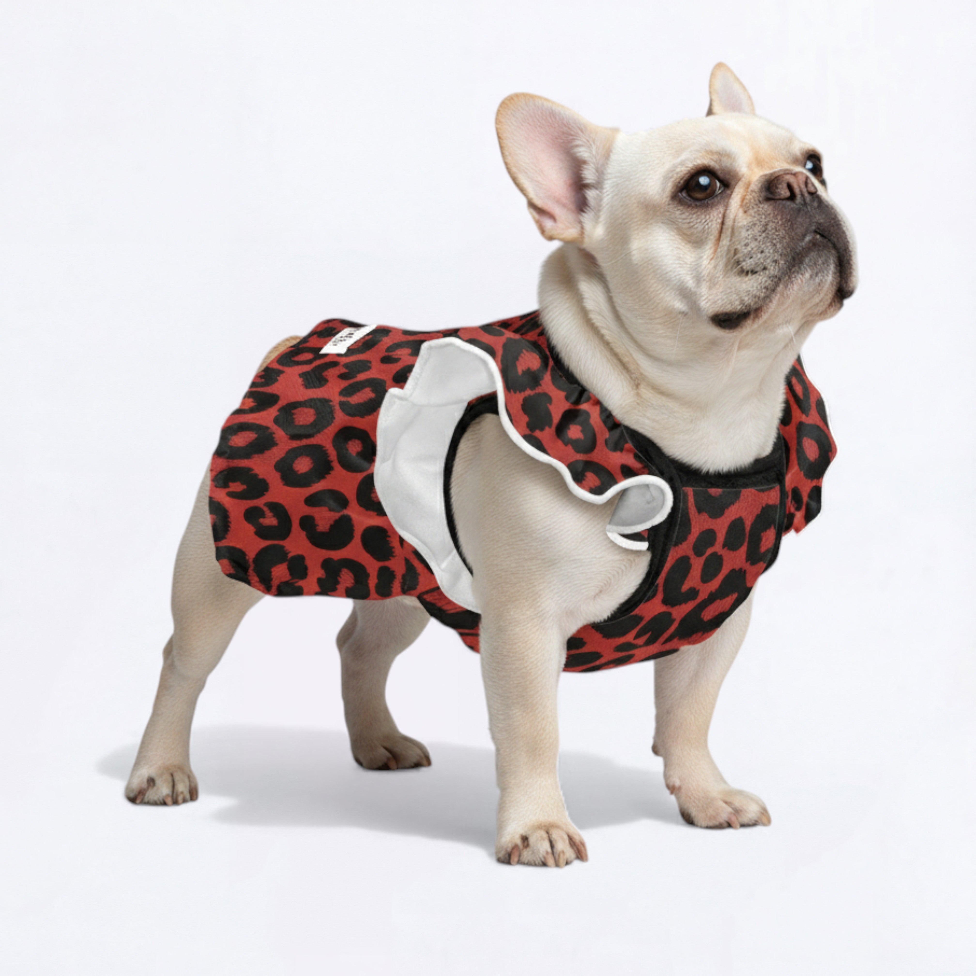 Zoya - Premium Adorable Dress For Frenchie Girls Pet Gear