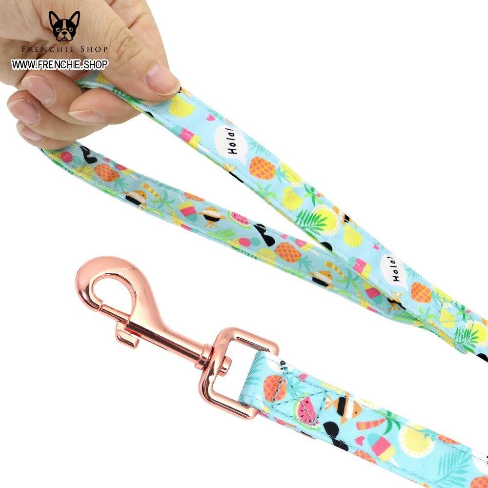 Fruit Harness for French Bulldog (W321)