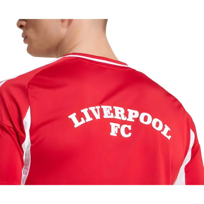 2025-2026 Fashionable Liverpool Jersey #33