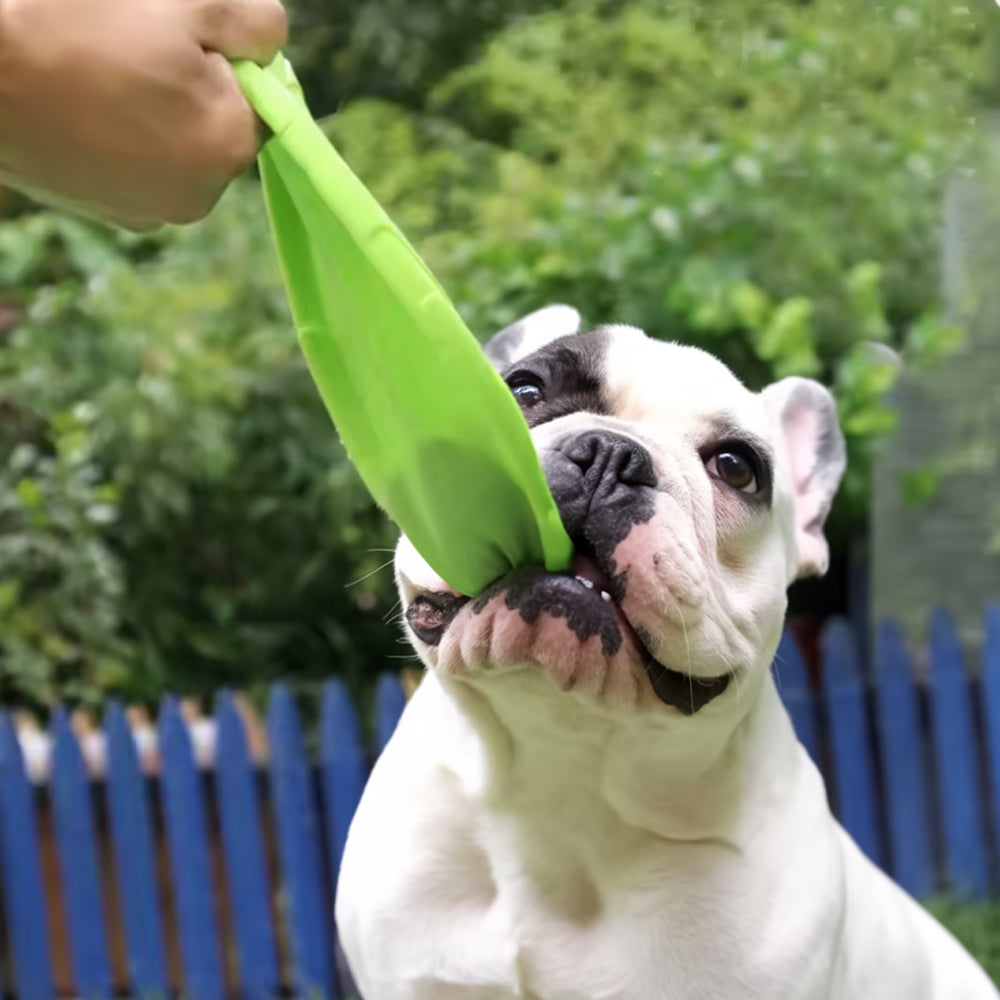 Flying Toy – Bite-resistant Rubber Fetch Frisbee Toy Summer Wear