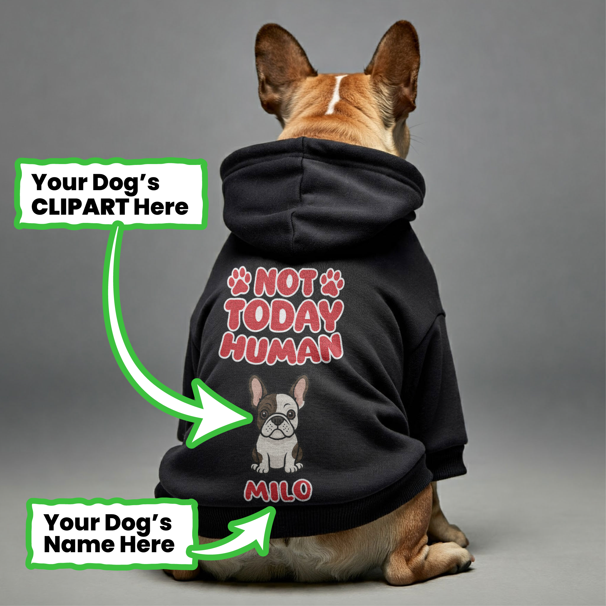 Lifestyle-Driven Not Today - Personalized French Bulldog Hoodies With...
