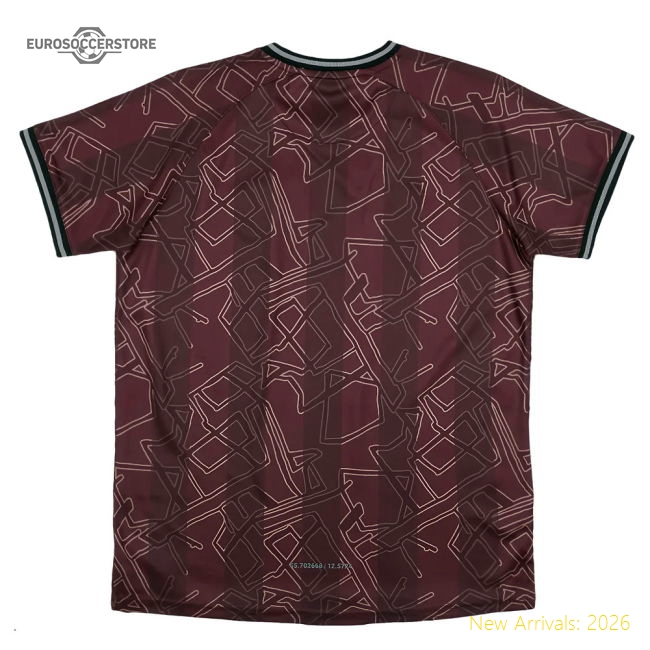 High-performance Denmark 2024-2025 Regular Jersey (den Mobility