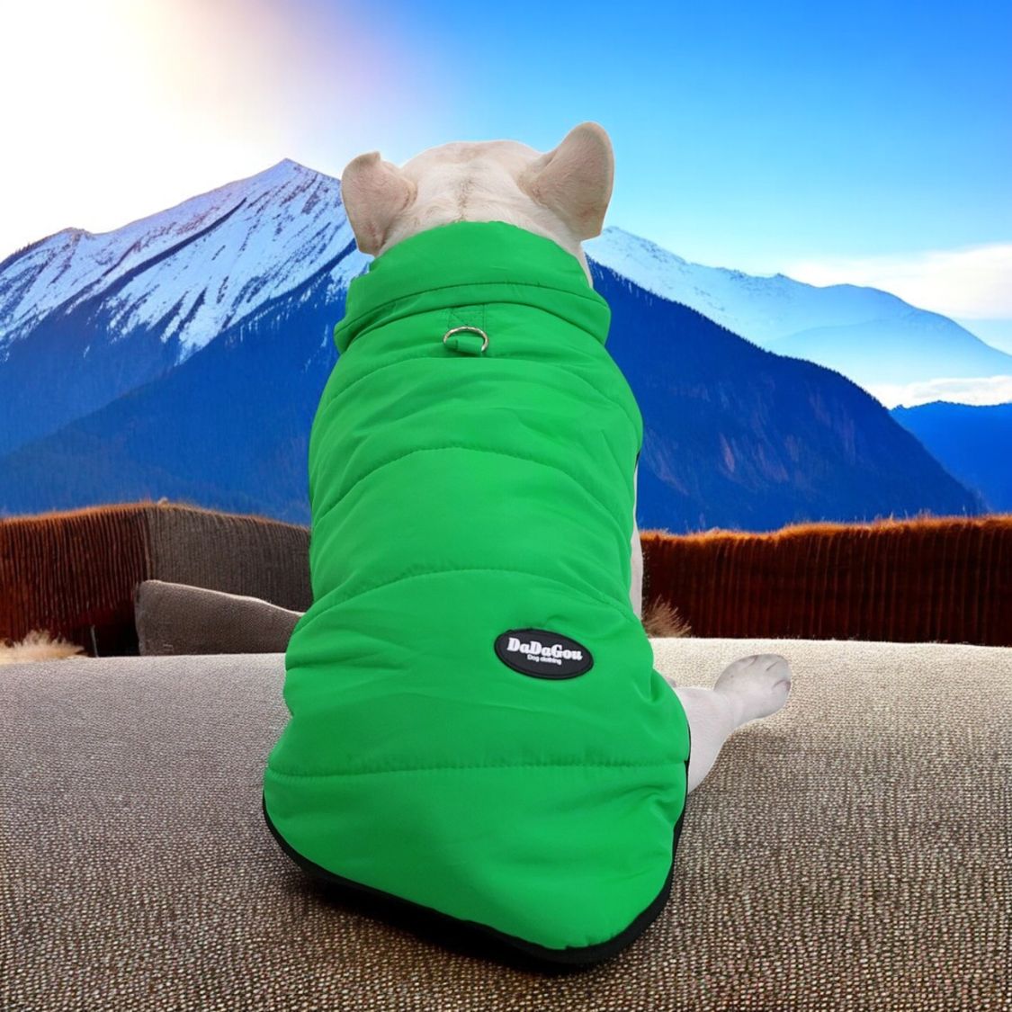 Premium Frenchie Winter Jacket - Comfortable Vest with D-Ring for Safe Traction