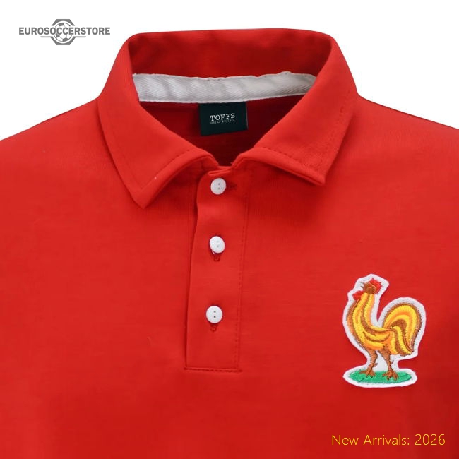 Professional France 2024-2025 Official Regular Jersey Breathability