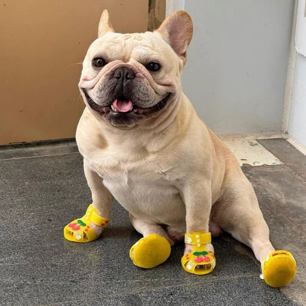 Comfortable Frenchie Paws Protection Sandals for French Bulldog Lovers