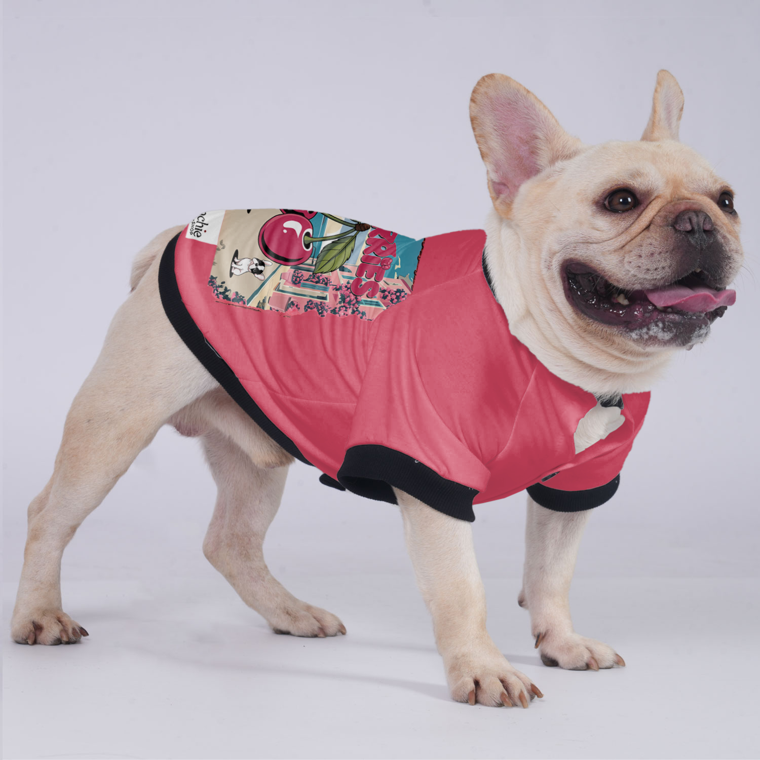 Lady - Breed-specific Jacket For French Bulldog Winter Wear