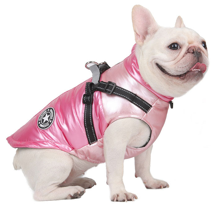 French Bulldog Winter Jacket With Reflective Harness (WS088)