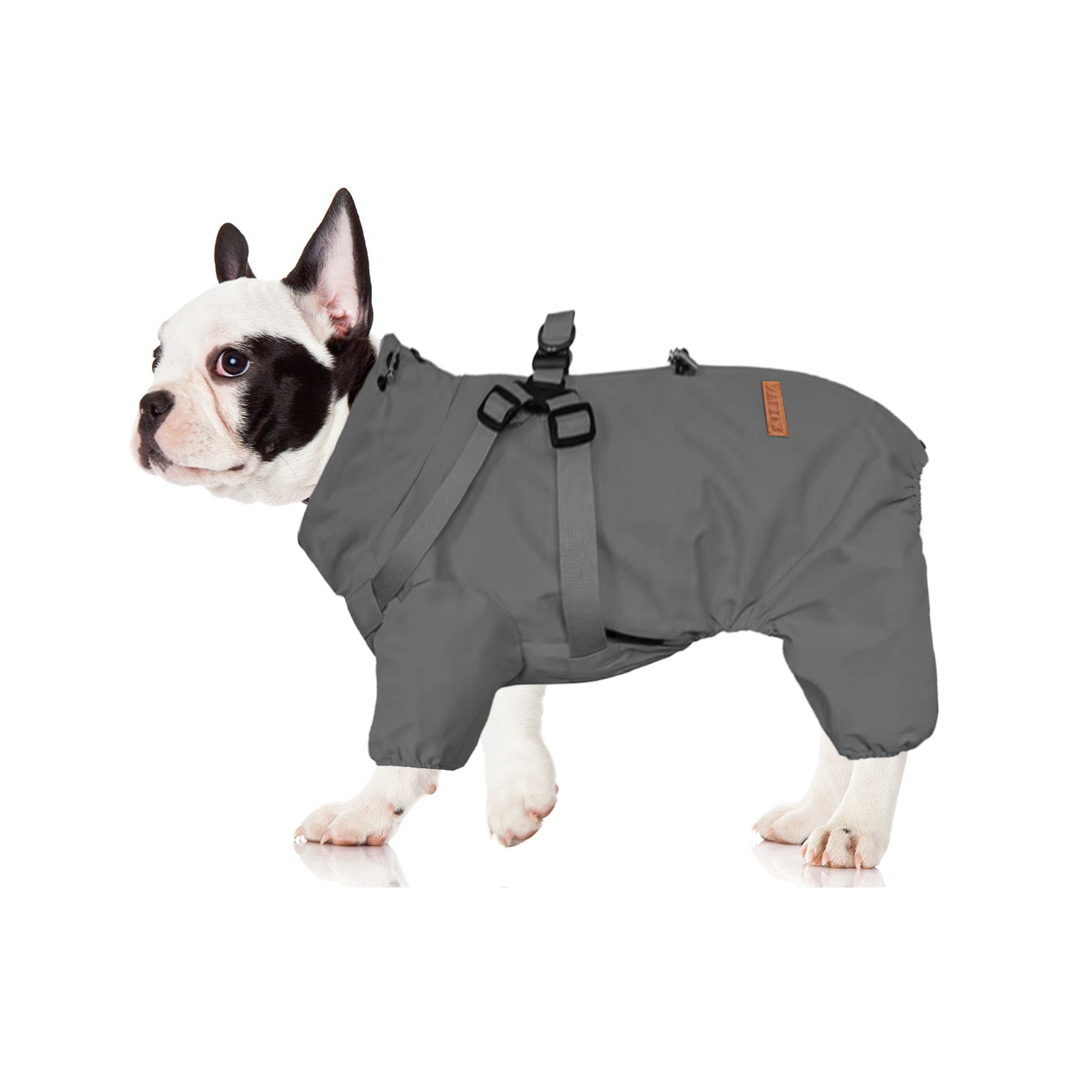 HydroHug Frenchie Raincoat with Built-in Harness Waterproof Reflective All-in-One Dog Jacket