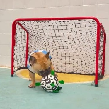 Safe Frenchie Interactive Football Inflated Training Toy Dog Supplies