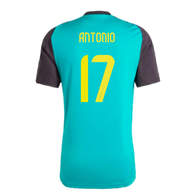 Player Issue Style Jamaica Training Pro Level Shirt 2024-2025