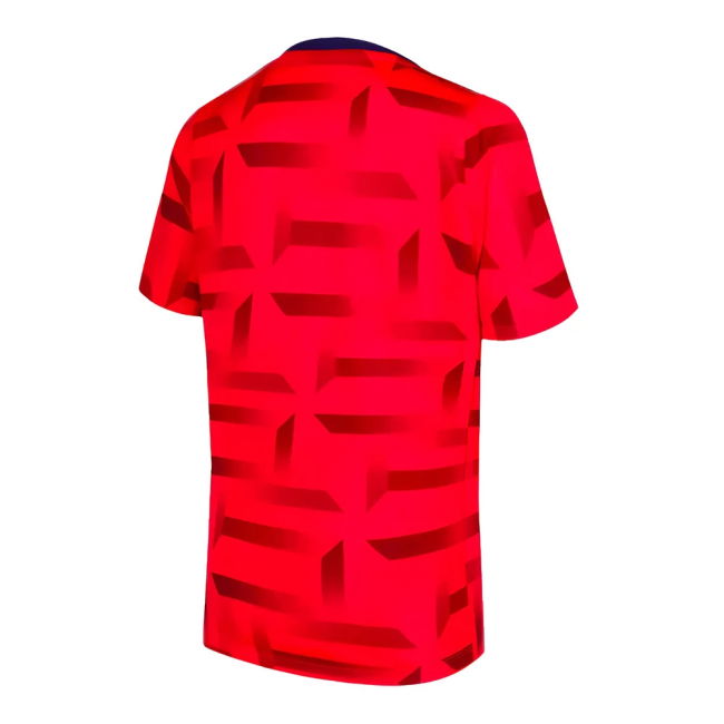 Official 2024-2025 England Dri-Fit Euro Official Premium
