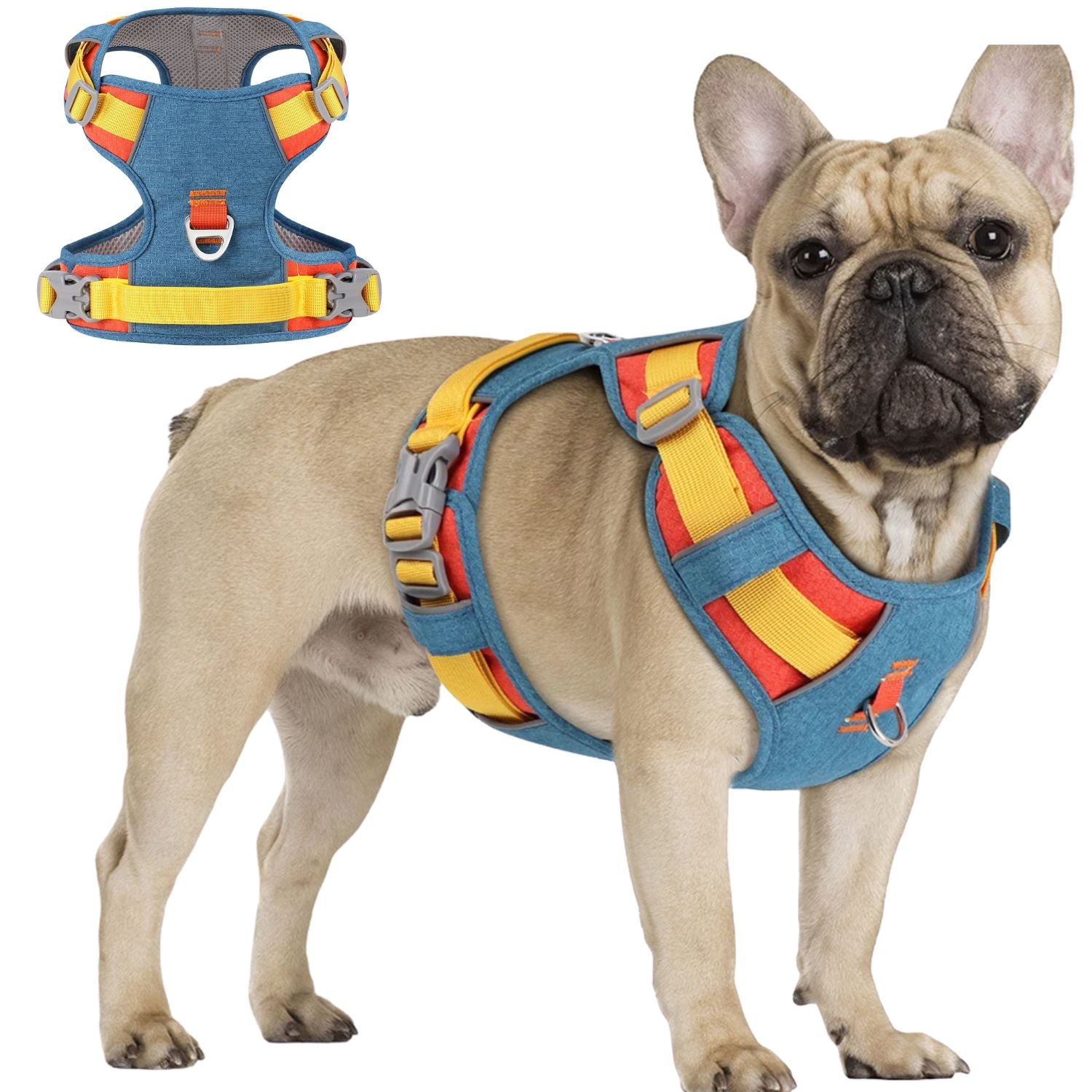Durable Pupbright No Pull Frenchie Reflective Harness for Stocky Dogs
