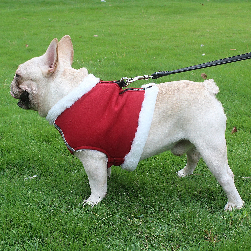 Reflective Harness for Winter (WS304)