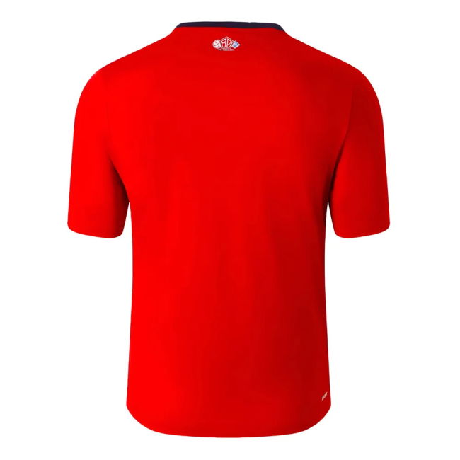 Match Quality Replica Lille Mbappe #29 Updated Design Jersey Dynami...