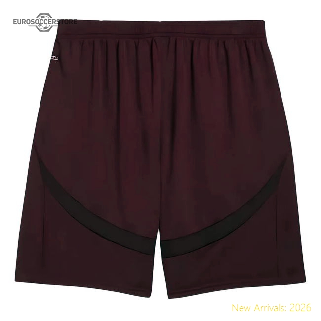 Professional Elite Third Shorts Dark Jasper 2024-2025 Man City