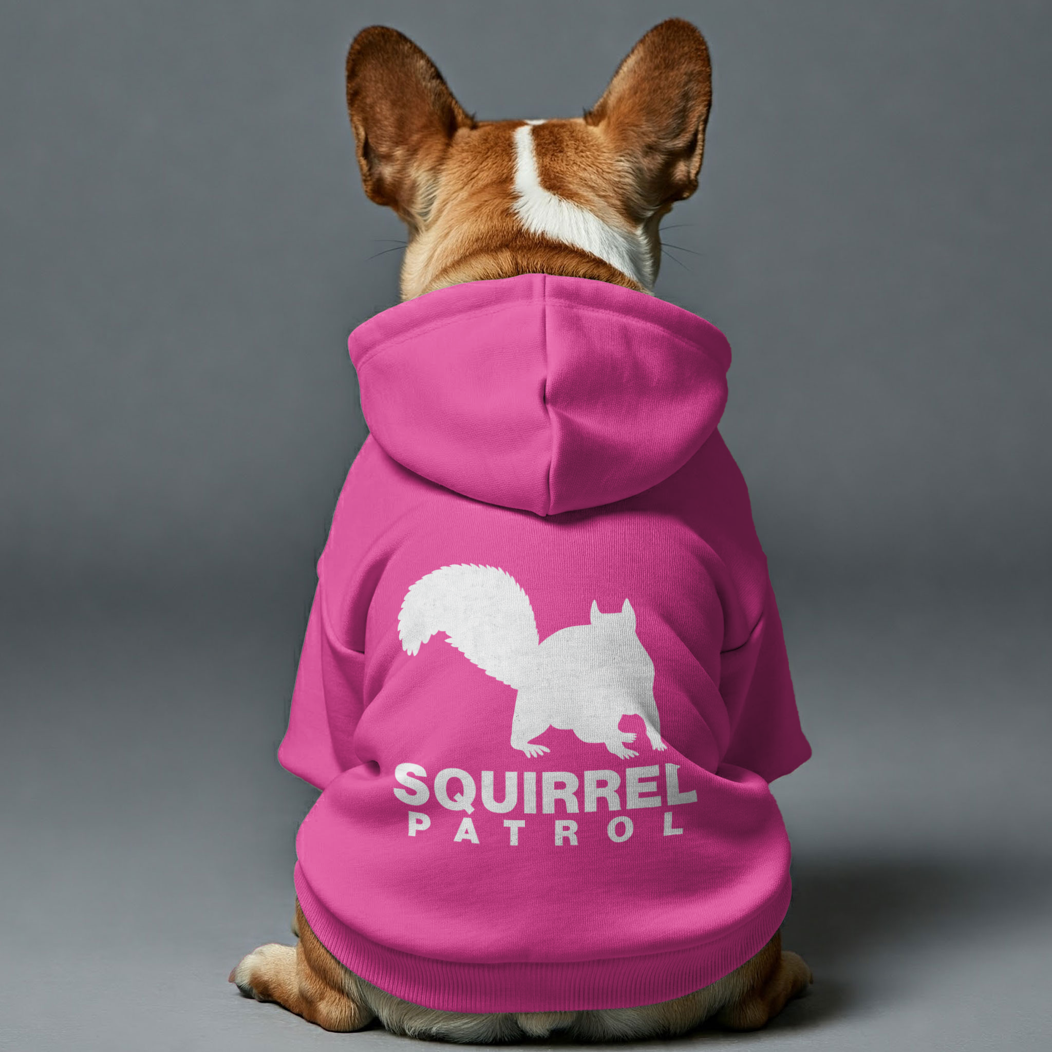 French Bulldog Squirrel Patrol Personalized French Bulldog Hoodies