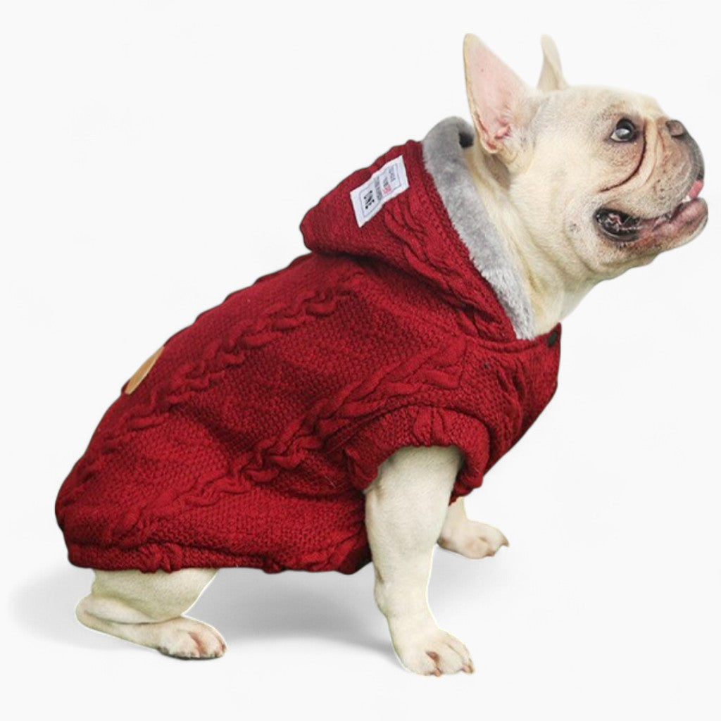Warm Sweater for French Bulldog (CS10)