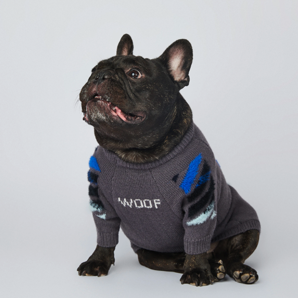 Frenchie Woof Winter Sweater V2 Pet Owner Apparel | Stylish Look