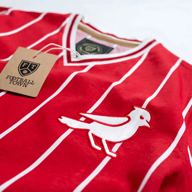 Bristol The Robin Home Retro Football Kit