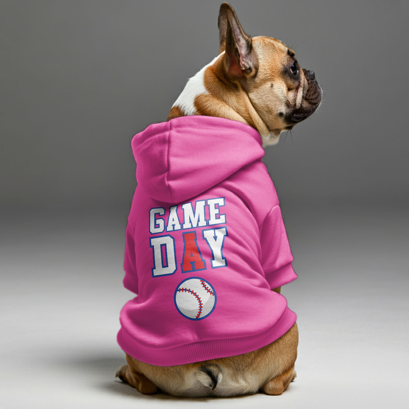 French Bulldog Game Day Personalized French Bulldog Hoodies With Funny